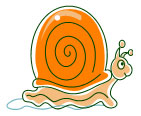 image of a snail