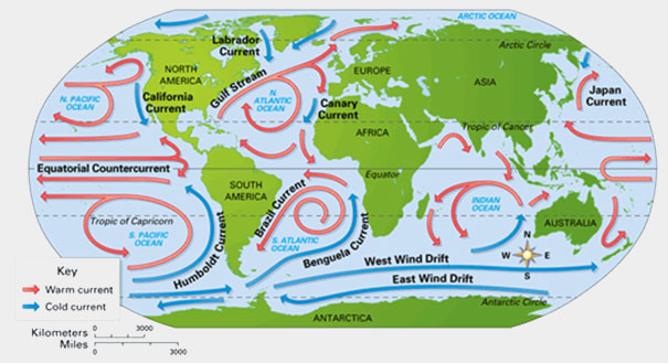 Pacific Ocean Current Chart