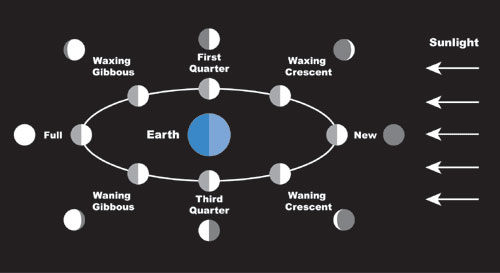 The Moon—Lunar Cycle and Tides