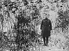 Image of a soldier standing in the middle of a snow-covered forest. 