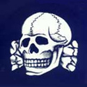 The infamous SS Death's Head logo worn by all SS officers, NCOs, and enlisted men on their caps and on some uniforms. It is a skull and crossbones unique to the SS.